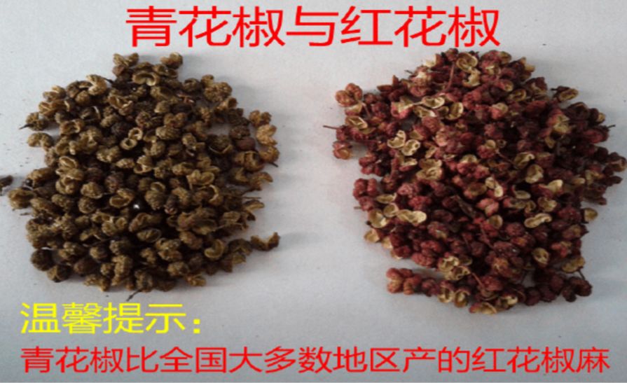 全国最正宗的花椒在哪里,花椒有几个品种哪个最好吃