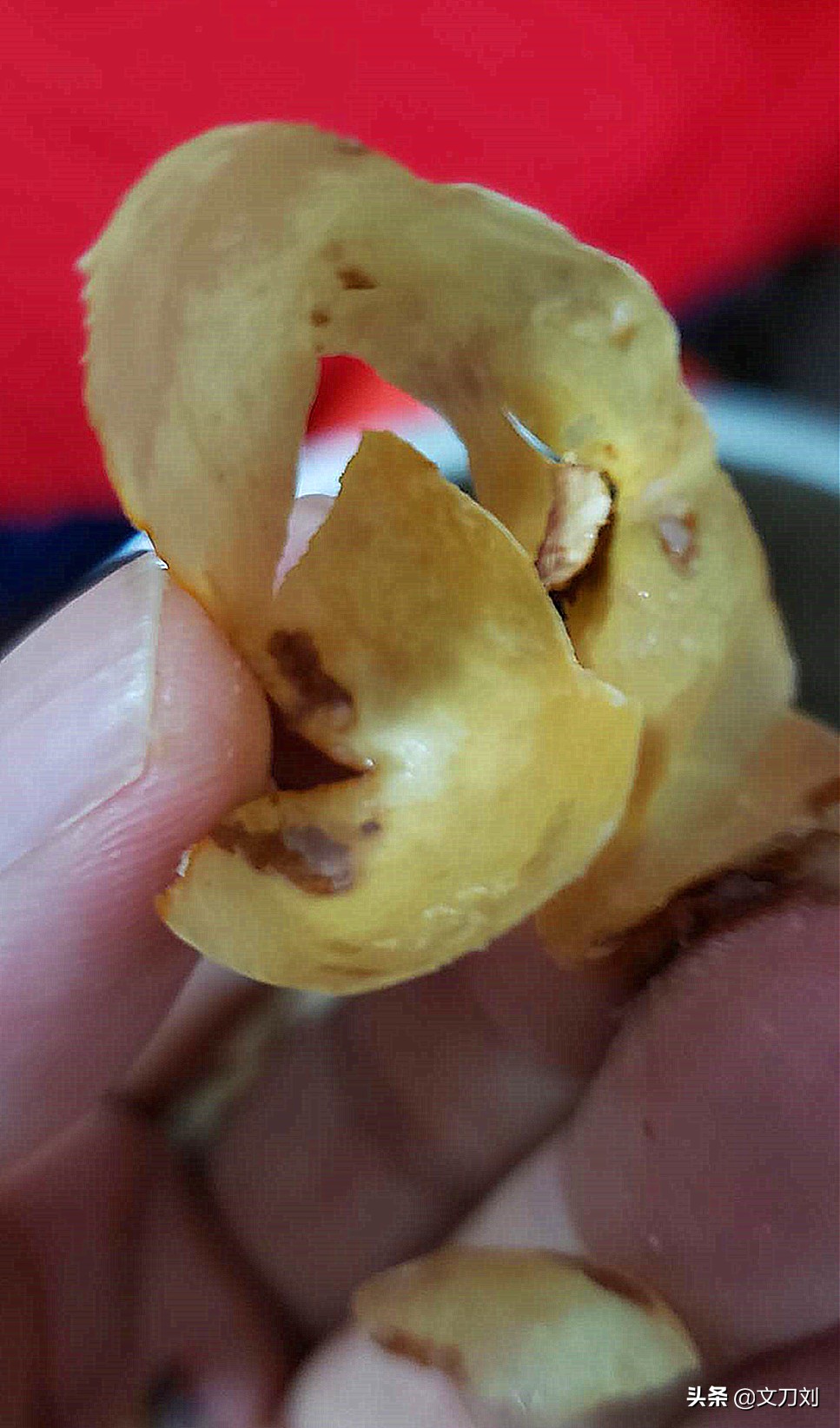 广州一学生家长送老师一菠萝蜜特别吩咐把核也吃了