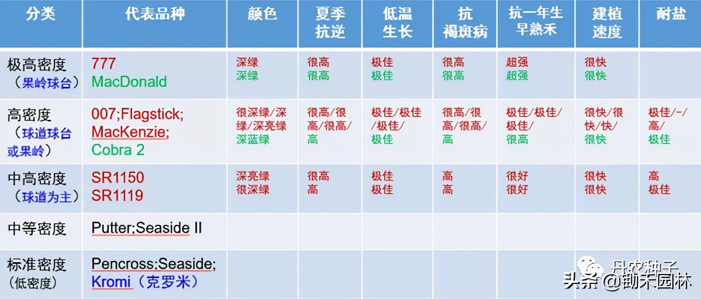 匍匐剪股颖草种特点,匍匐翦股颖