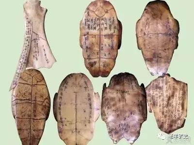 不要迷信各种解梦,解梦都是真的吗