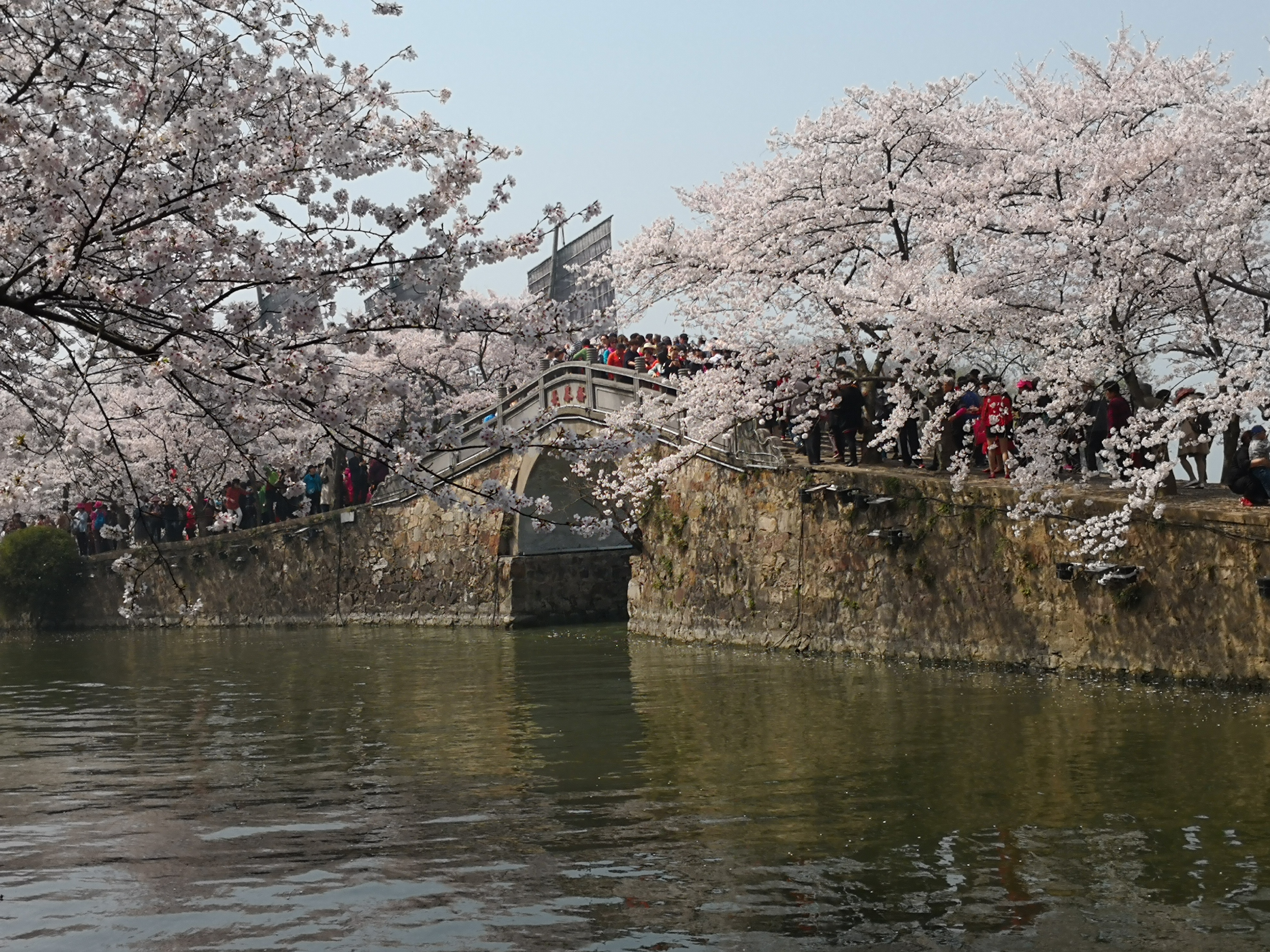 你心中的江南是怎样的？余光中笔下的江南：是山水是爱人是母亲