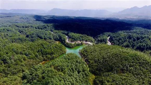 贵州60个重点景区名单,贵州5个风景区