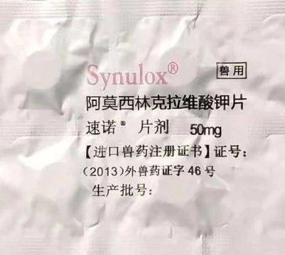 你得知道的那点事儿?猫咪常备药