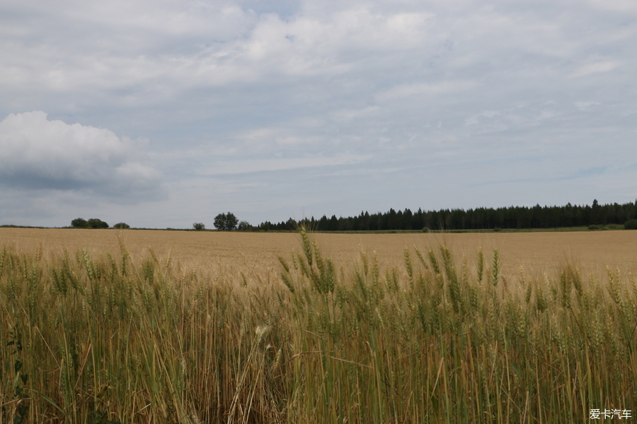 自驾囧途时刻,自驾游闯关东视频