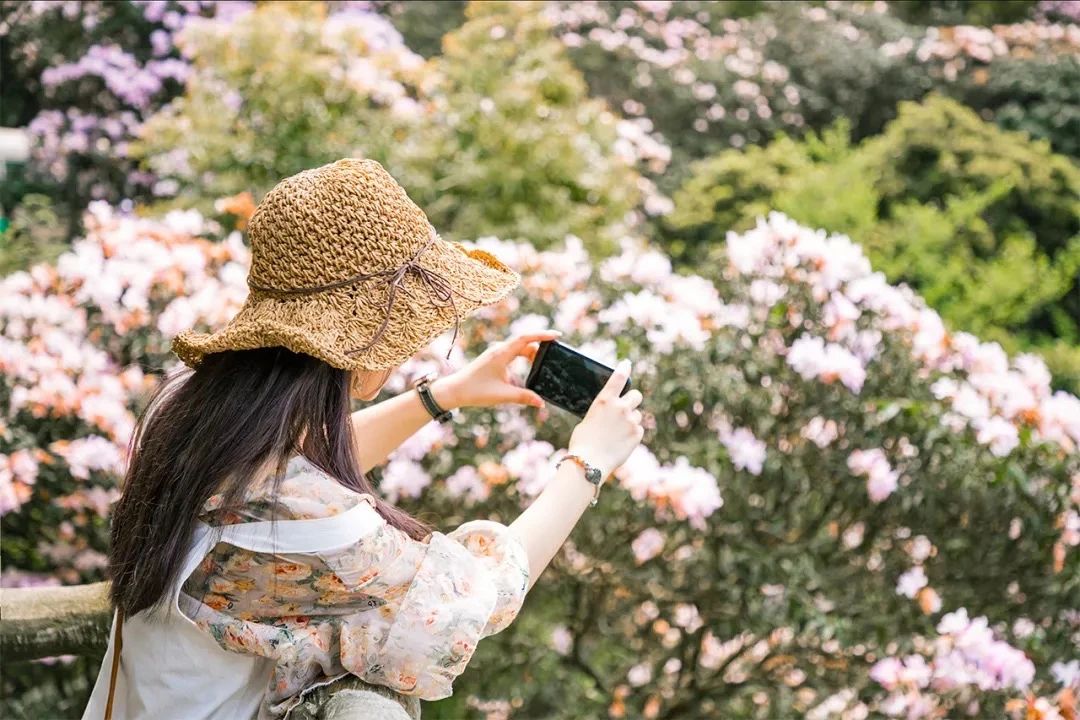 放假在深圳能去哪里玩,放假了可以去深圳的哪些地方玩