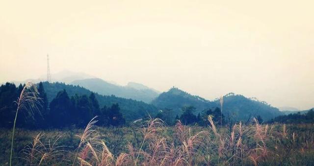 达州三汇,四川省渠县三汇白腊坪民间故事