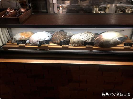 日本人为什么爱吃板栗,日本人为什么爱吃鱼