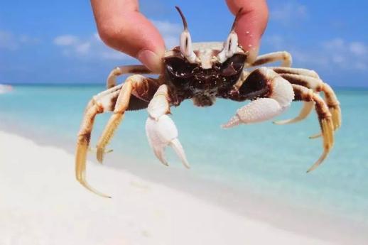 畅游西沙的旅行社,带你畅游三亚