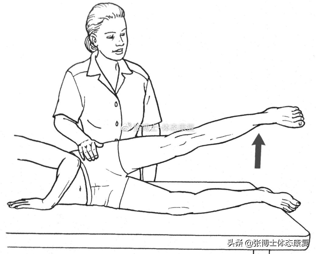 「功能训练」人体额状面稳定性与侧向子系统的关系