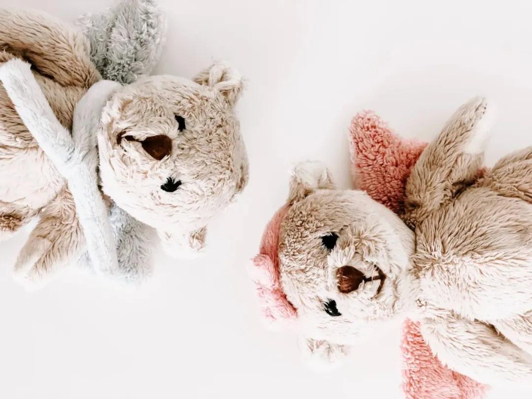 朋友圈全是自由的气息,朋友圈孤独即是自由