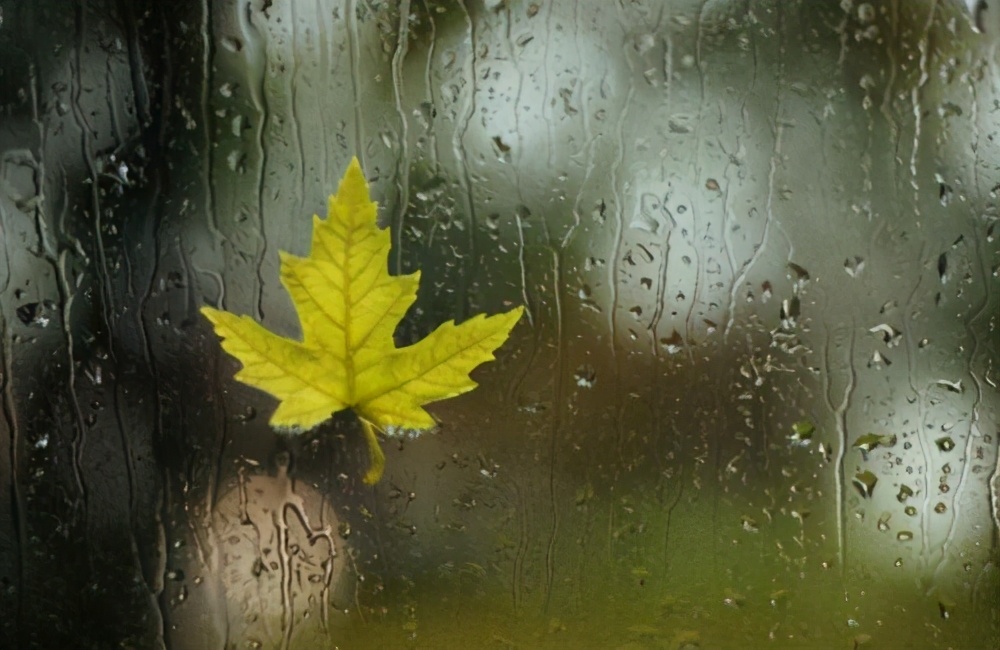 中医体内湿气太重怎么祛除,中医认为湿气重的人怎么调理