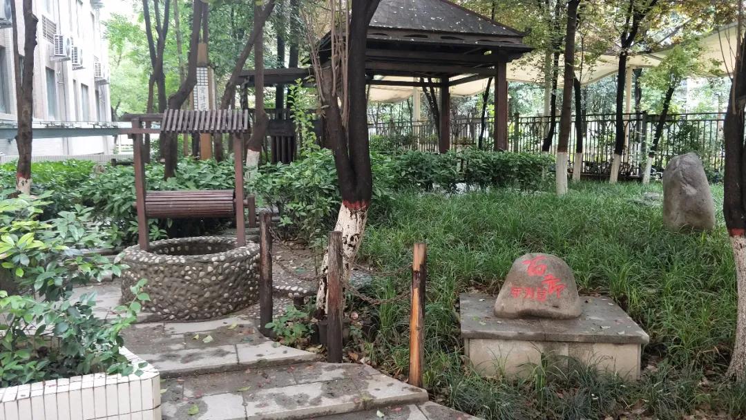 西安2022小升初网报实时数据,西安小升初信息网