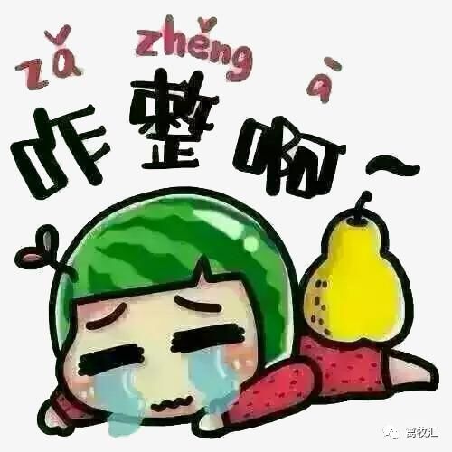 鸡养殖几个月出栏好卖吗,养殖什么鸡不愁销路