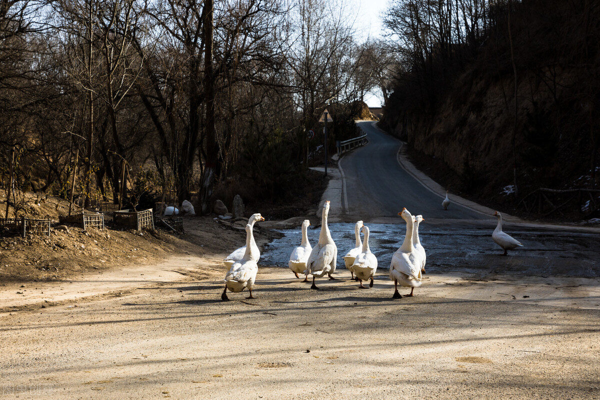 河北热门创业项目,河北小本创业好项目运营指导必看