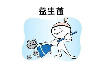 比较火的益生菌,益生菌为什么突然火了