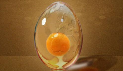 蛋的结构是什么,蛋的结构示意图