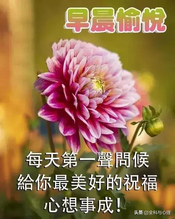 大家早上好周末愉快表情图片,早上好周六快乐祝福问候表情图片