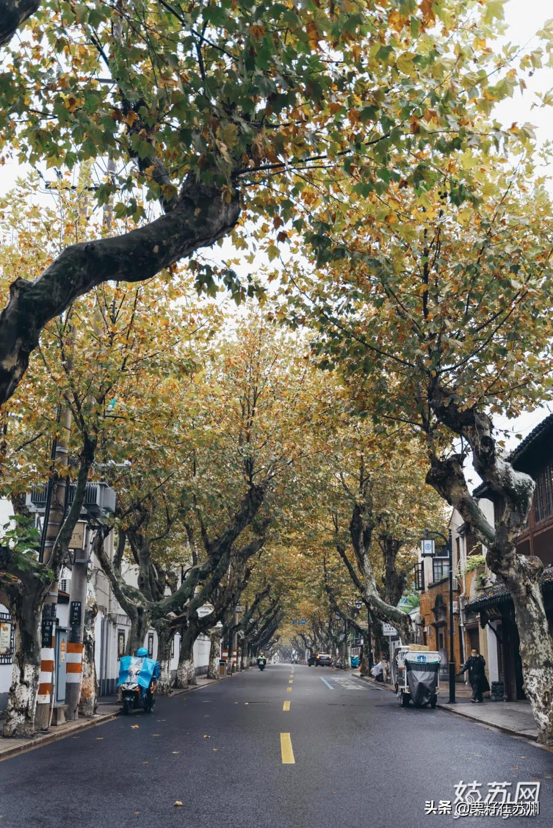 苏州有一条南京路,苏州古城区步行路线