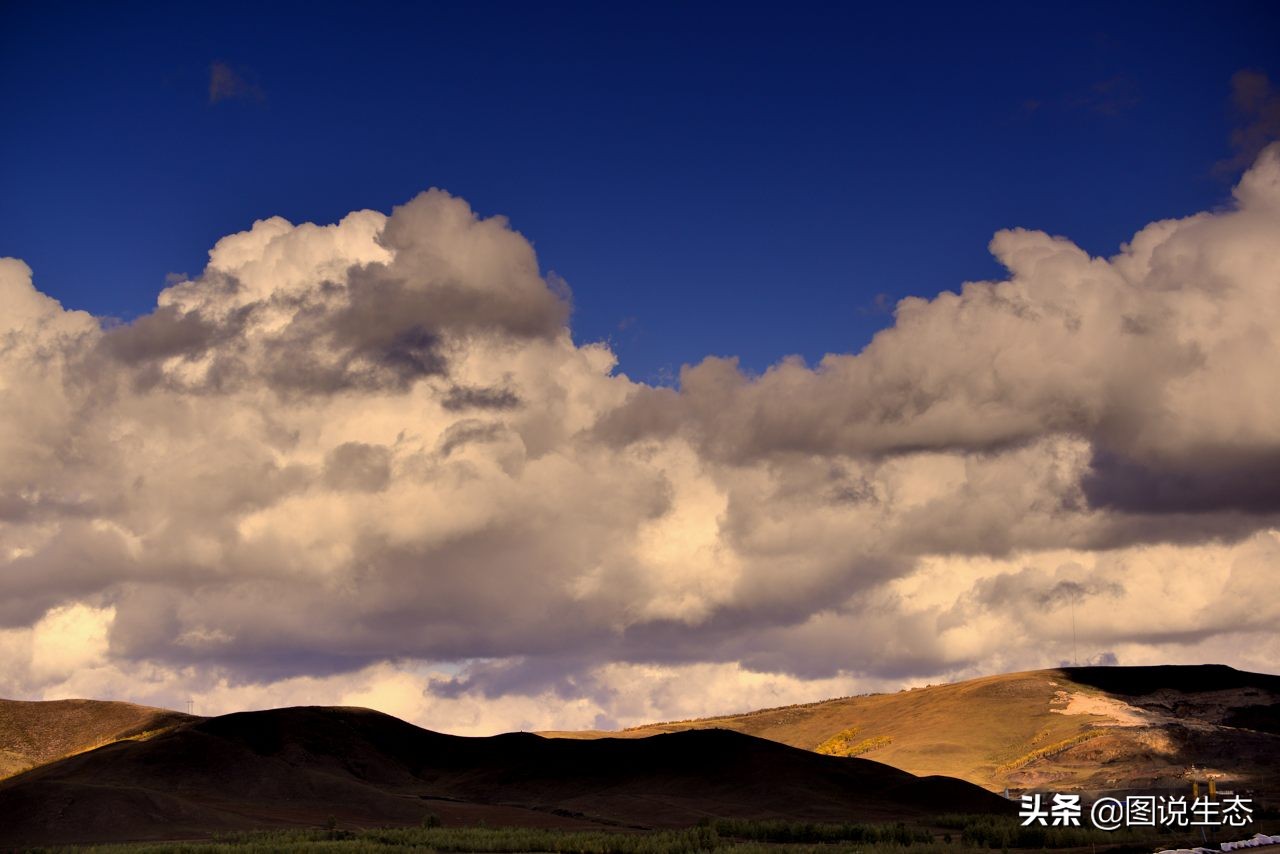 20年风雨治沙路，绿水青山秀丰宁