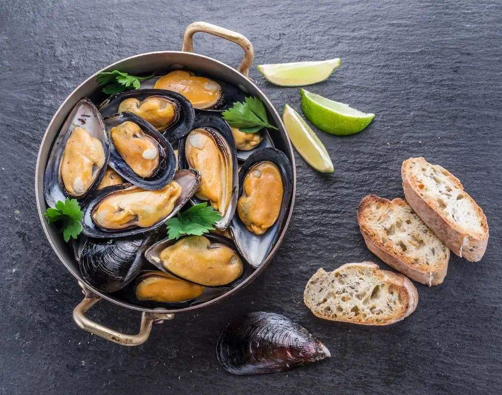 紫贻贝：好吃又好看营养又全面说的正是本贝