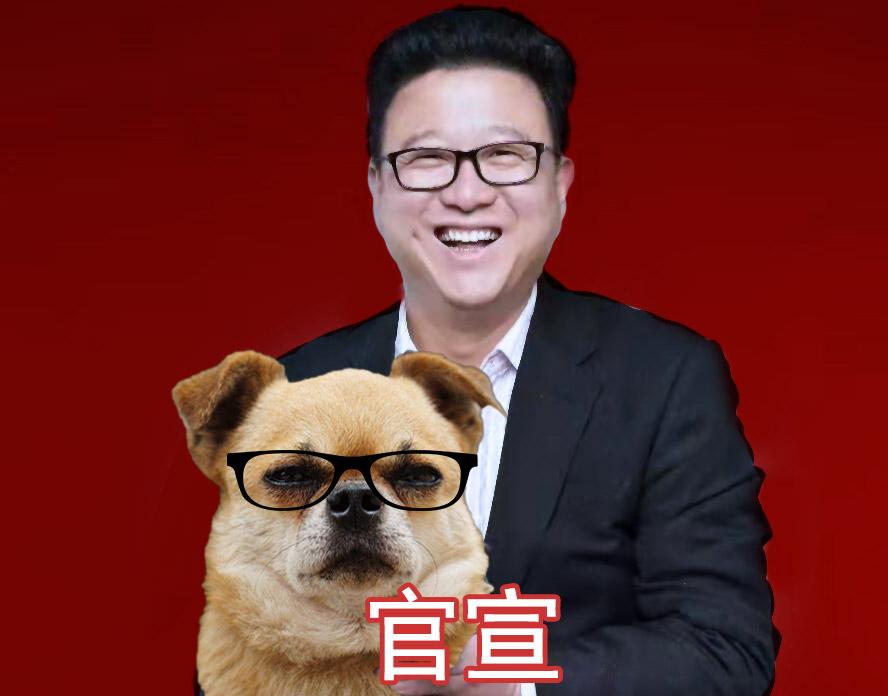 网易发明撸狗黑科技：跟上节奏！一大波汪星人来袭！