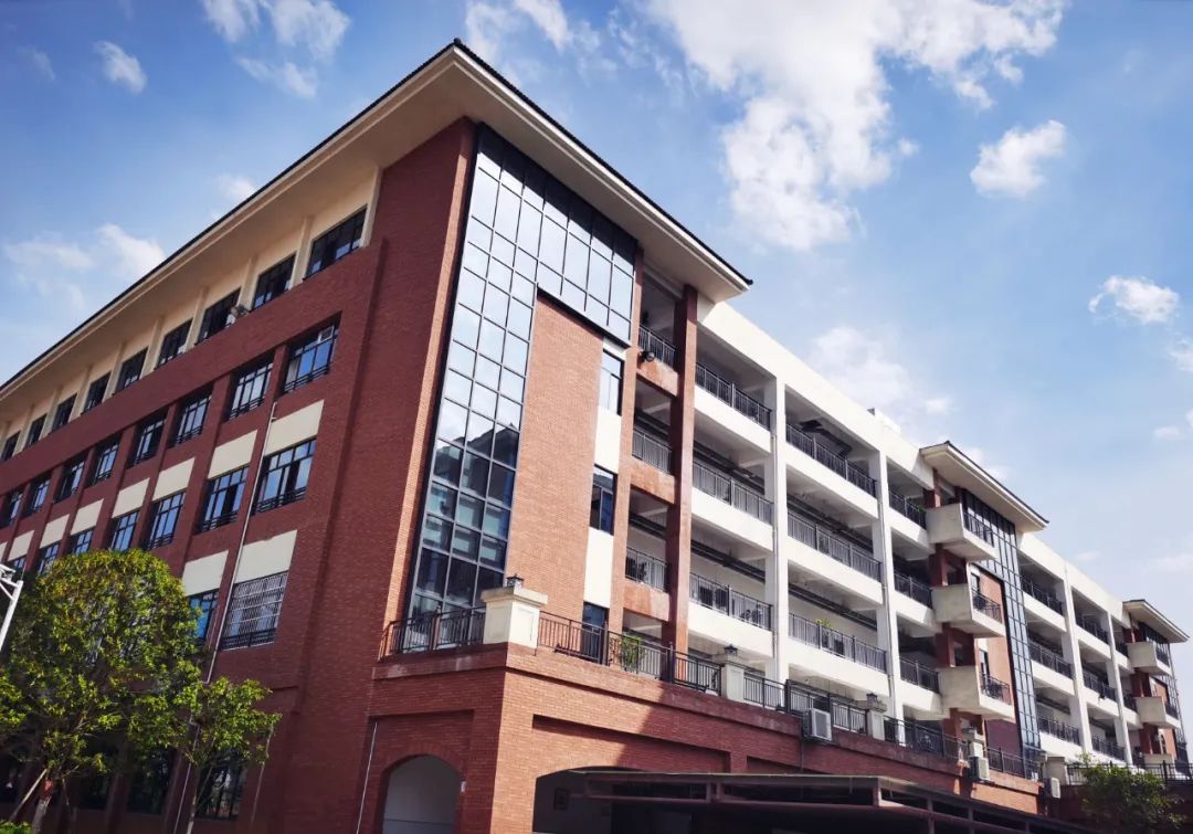 新蒲新区新舟中心学校,新蒲新区有哪些小学学校