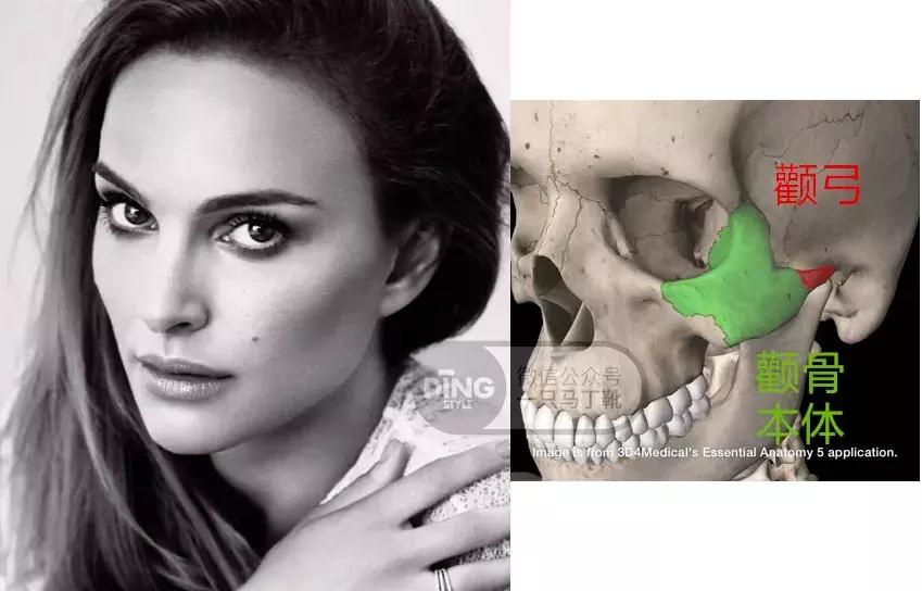 脸变大会显得眼睛小吗,年龄越大脸越小而且越好看