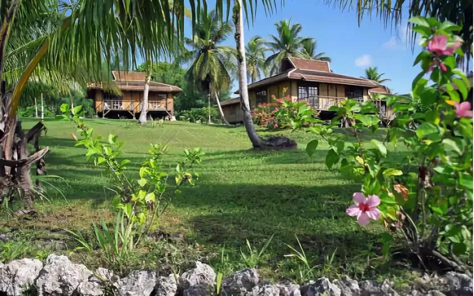 护照签证免签落地签,中国护照免签与落地签证名单