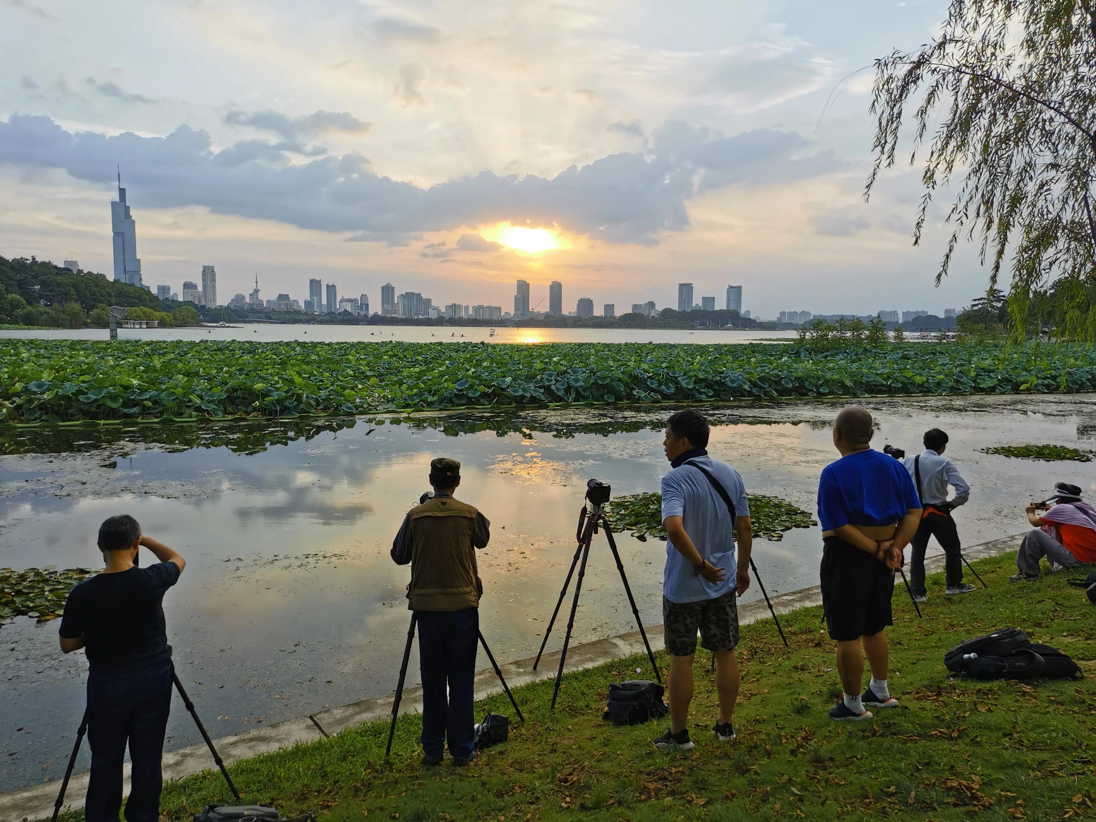 手机摄影手册圈友作品选第7期,手机摄影手册圈友作品选第6期