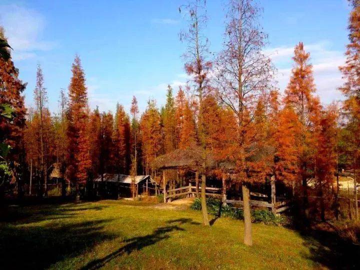 倒数狂欢夜,清远森波拉奇妙世界主题乐园住宿