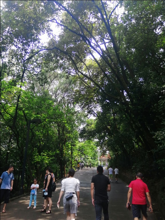 东莞旗峰公园掠影,东莞旗峰公园大体俯视图片