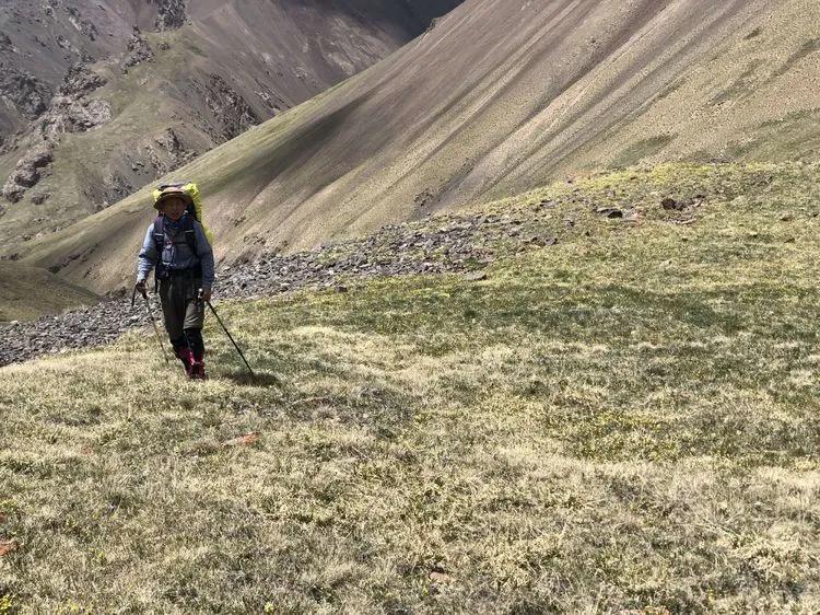 天狼之路是否值得一走,传说中的天狼