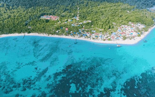 美人鱼之乡，速成老司机专场