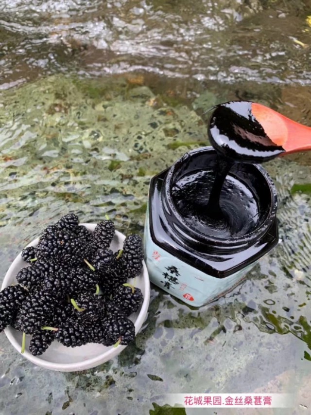 桑树全身都是宝的实例,桑树全身都是药