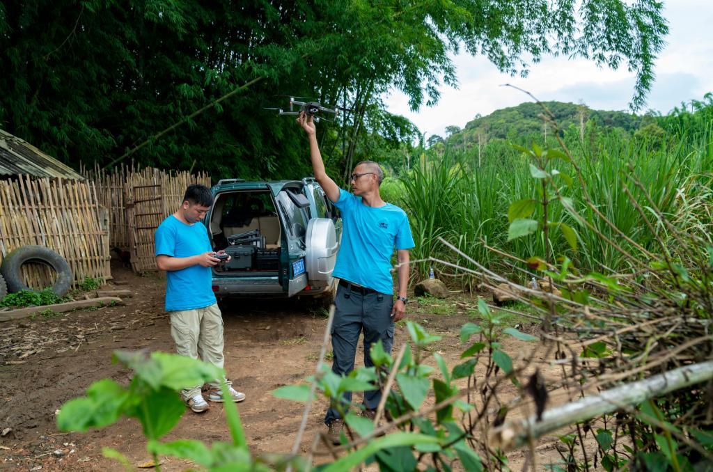 云南象萌翻全世界!外网追直播“吸大象”,夸中国护象措施太可爱