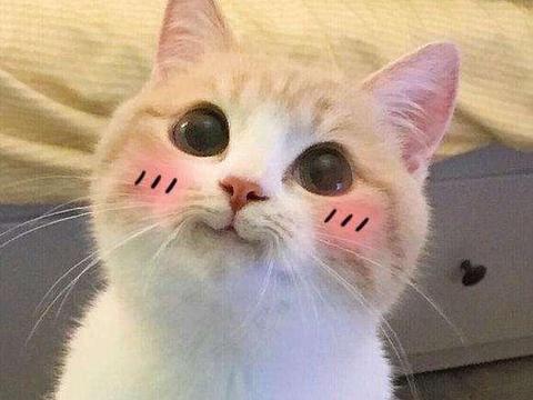 发朋友圈高赞技巧,发朋友圈没人点赞怎么回