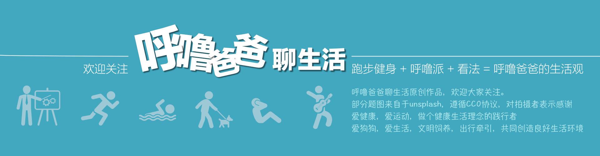 足球草坪为什么贵,为什么足球草坪有条纹