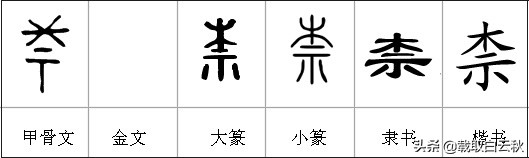 千字文中果珍李柰下一句是什么,千字文里边的果珍李柰怎么读