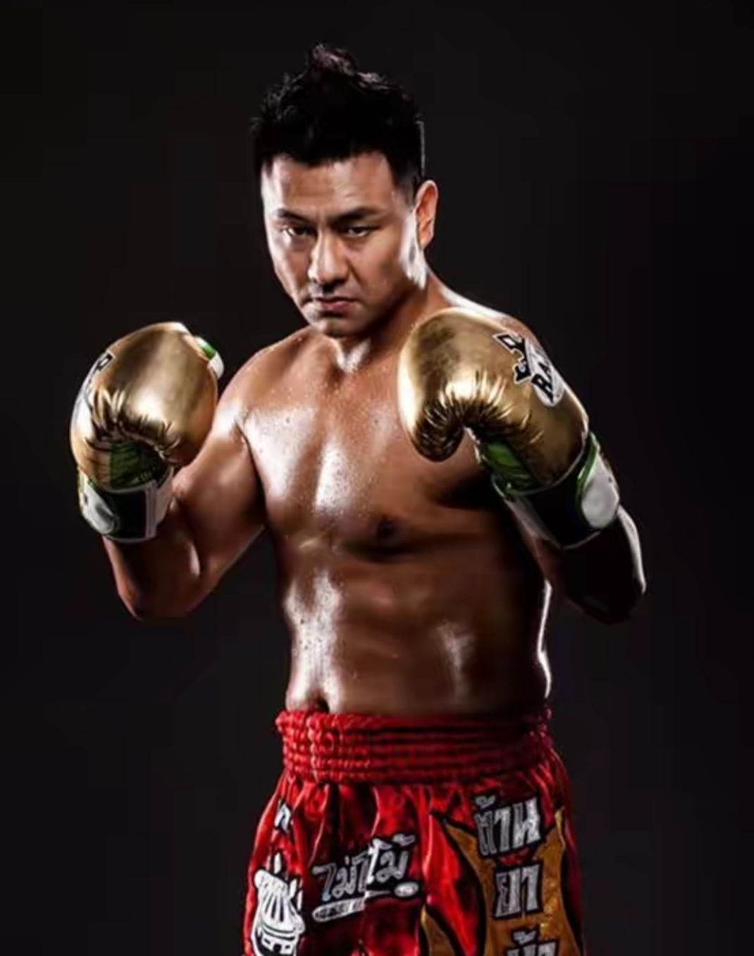 武林风重量级拳王排名,武林风世界排名前十的拳手