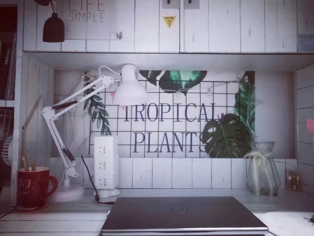 大学寝室简洁,大学寝室长什么样