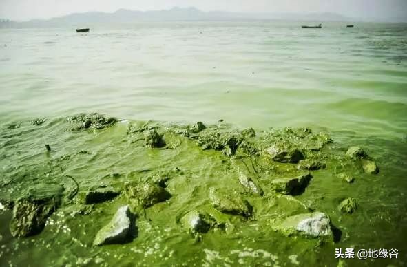 五大湖是怎样从墨西哥湾出海的？