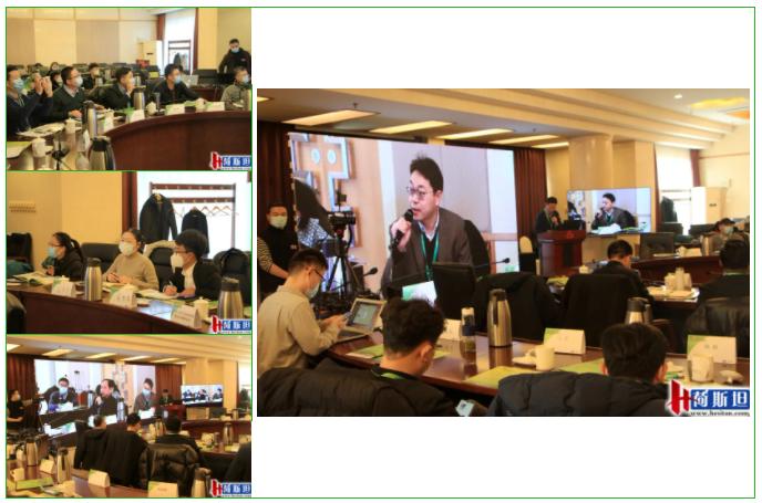 2020年全国燕麦草行情及销售,2023年燕麦草市场价格分析