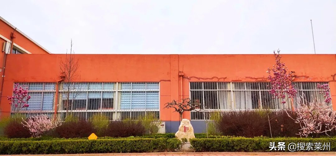 春满校园春暖花开,沙河镇中心小学校园