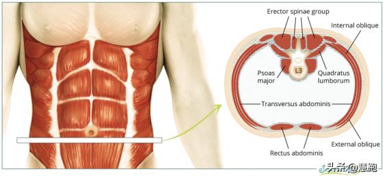 平板支撑其实不算太难,3分钟高效平板支撑