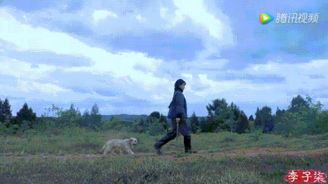 看了李子柒的视频的感受,看完李子柒后的感受