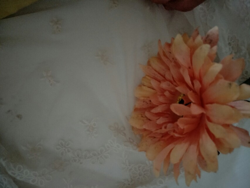 纱窗破了的小洞怎么样补比较美观,纱窗破了修补的妙招