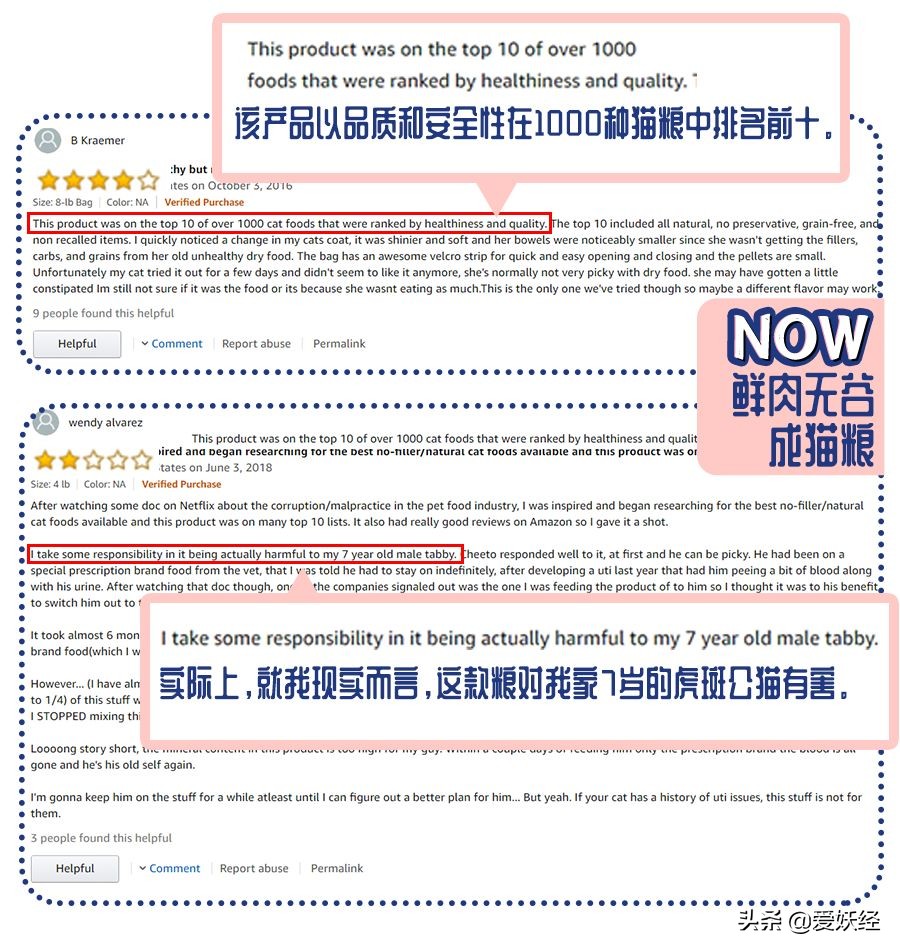 十大良心进口猫粮排名测评,进口天然猫粮