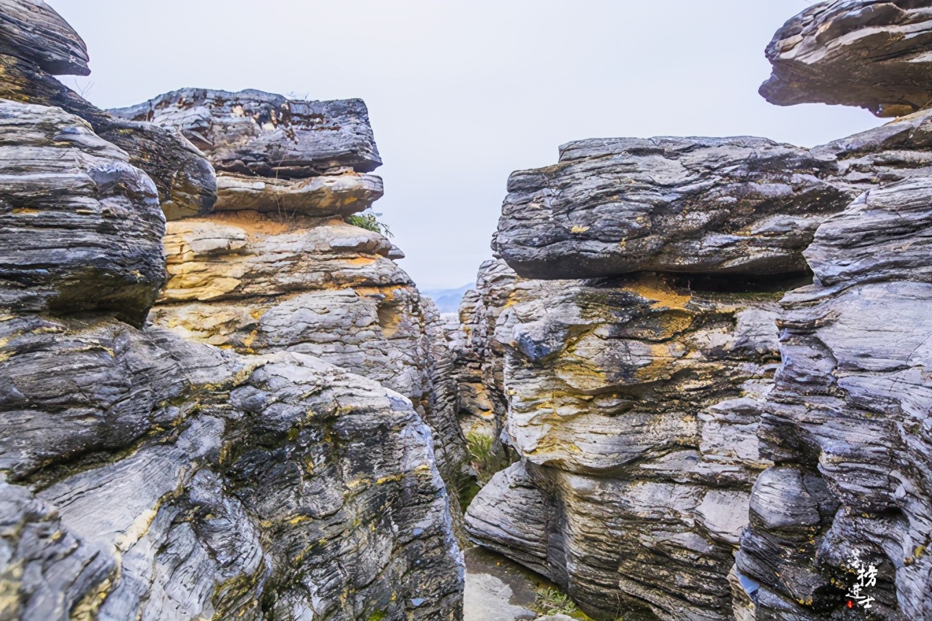 黄山西递古村落景点简介,黄山市西递古村落图片