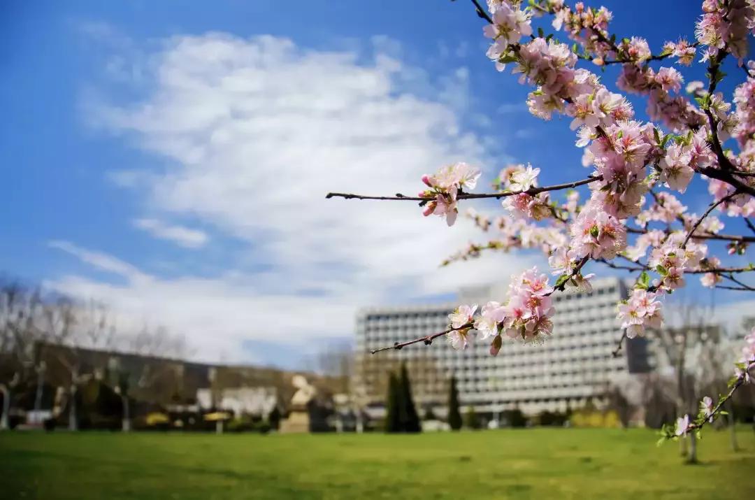 大连海事大学和辽宁省哪个级别高,大连海事大学辽宁省大学排名