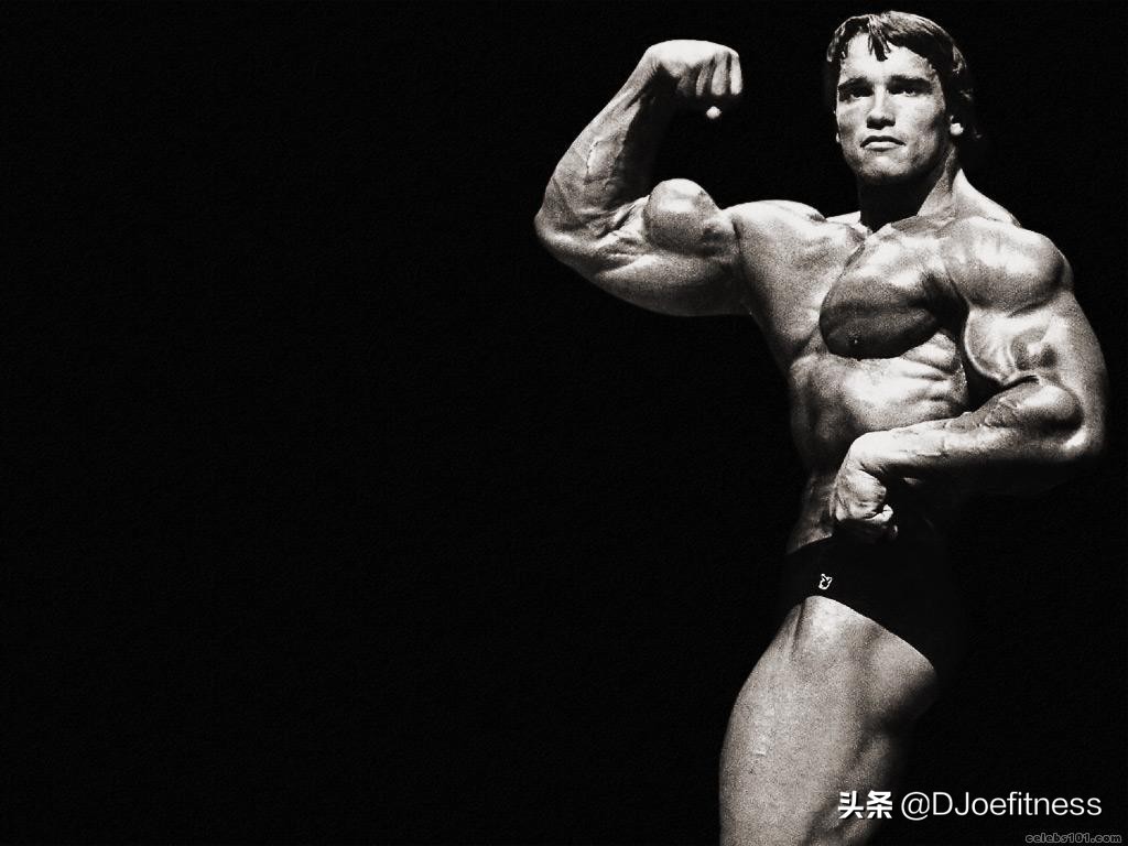 施瓦辛格健身经典动作,施瓦辛格100天健身计划